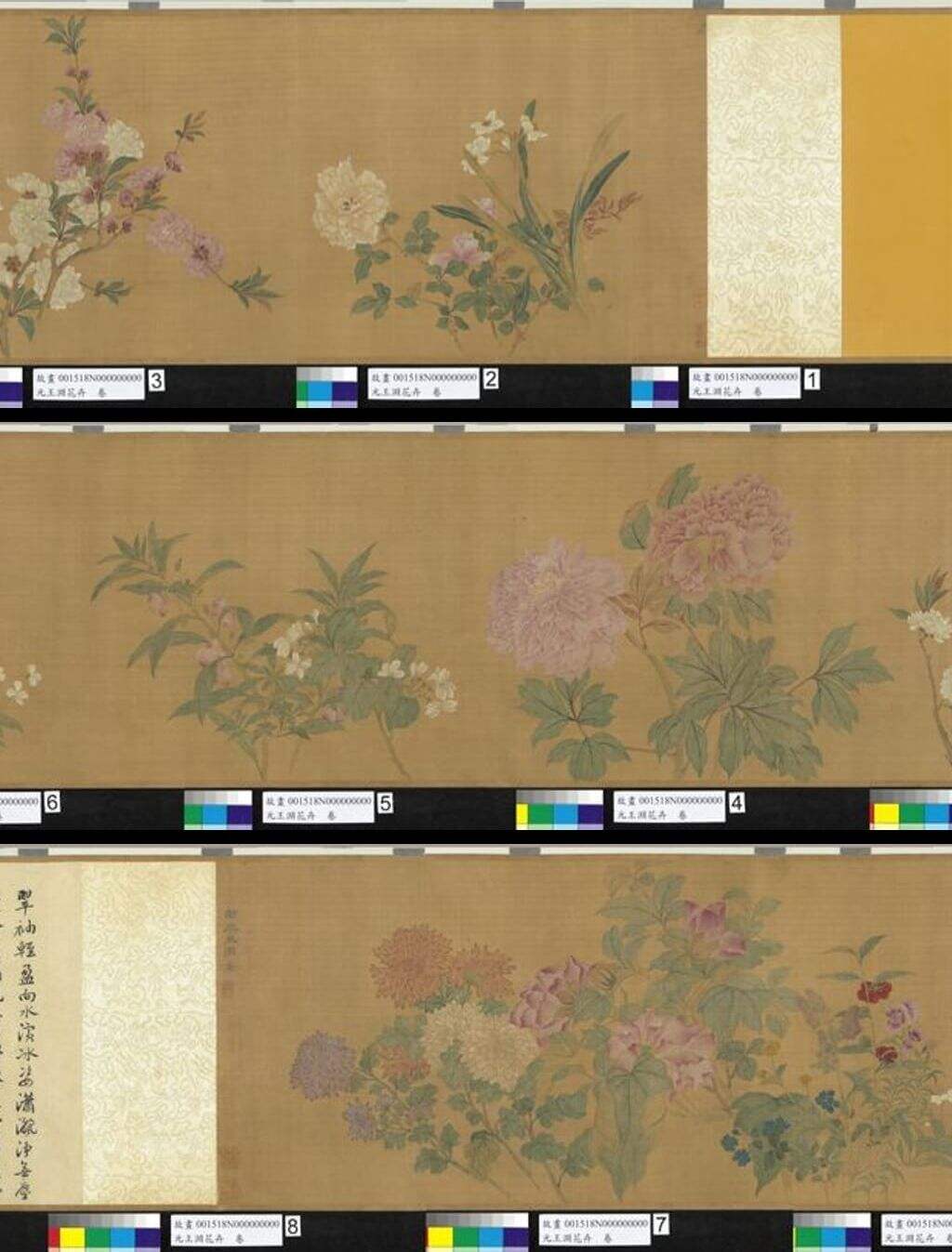 花卉图缩略图