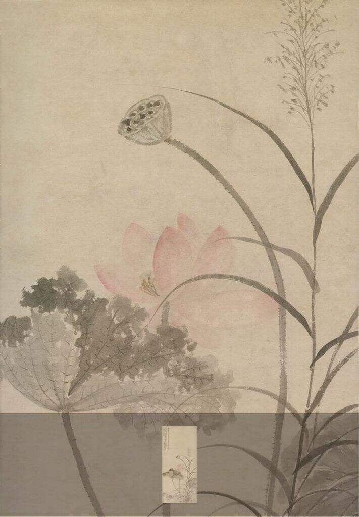 残荷芦草图缩略图
