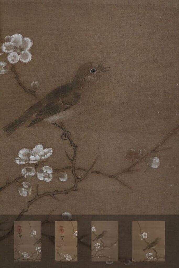 梅花绣眼图缩略图
