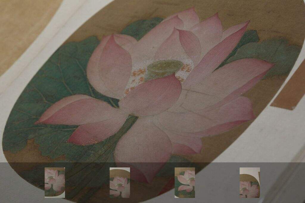 宋人出水芙蓉图页缩略图