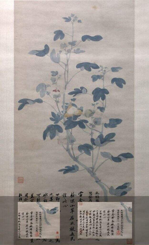 木棉图缩略图