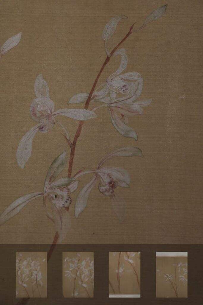建兰图卷缩略图