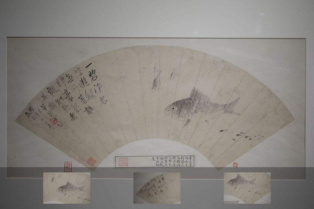 鱼缩略图