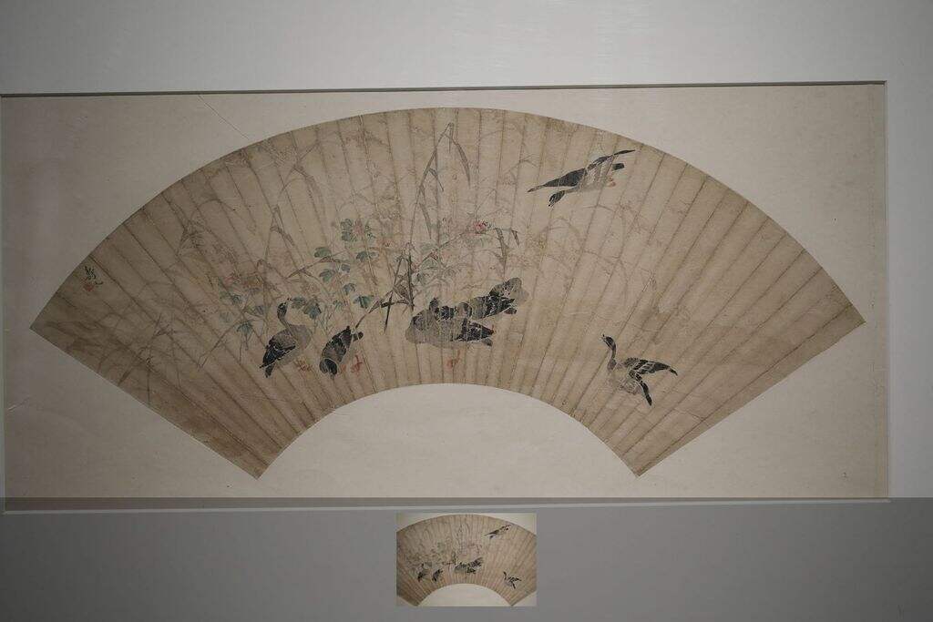芦雁缩略图