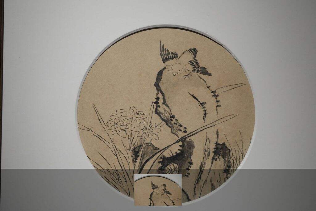 水仙麻雀缩略图