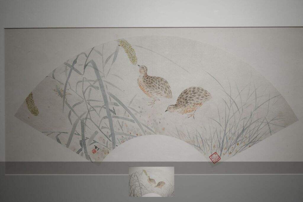 鹌鹑黍子缩略图