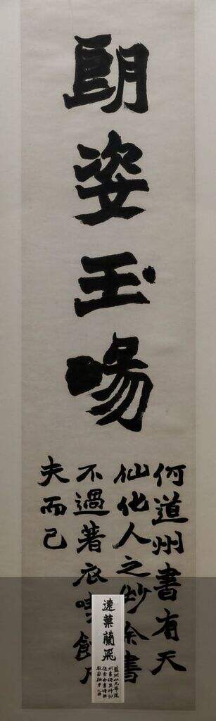 朗姿玉畅缩略图