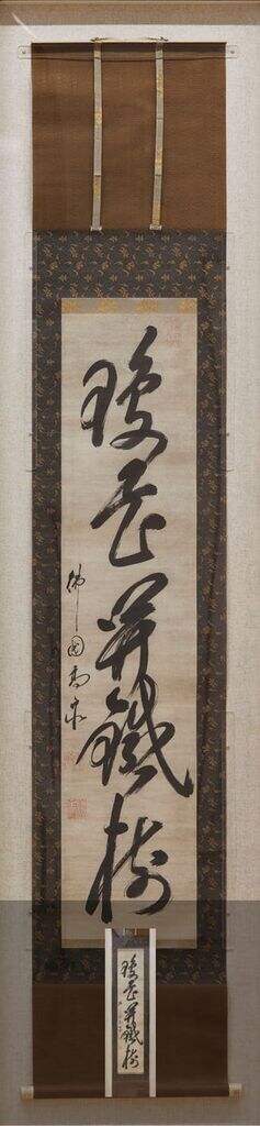 琼花开铁树缩略图