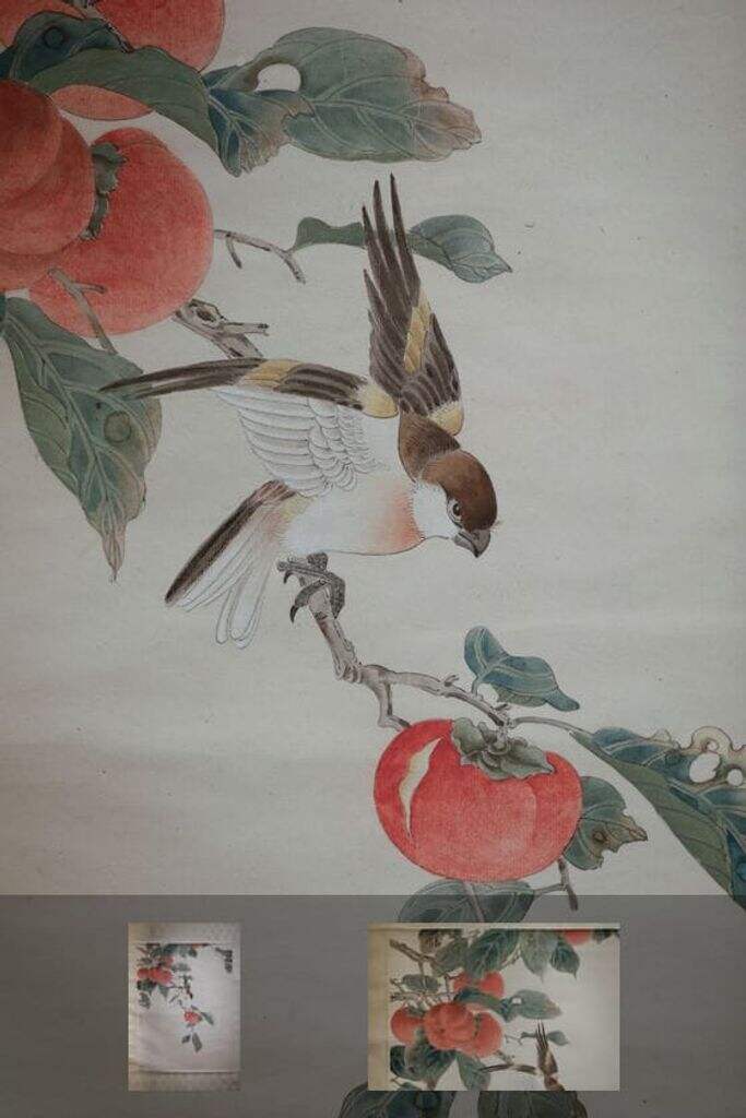 红柿小鸟缩略图
