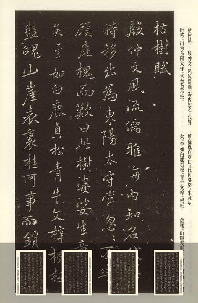 枯树赋哀册缩略图