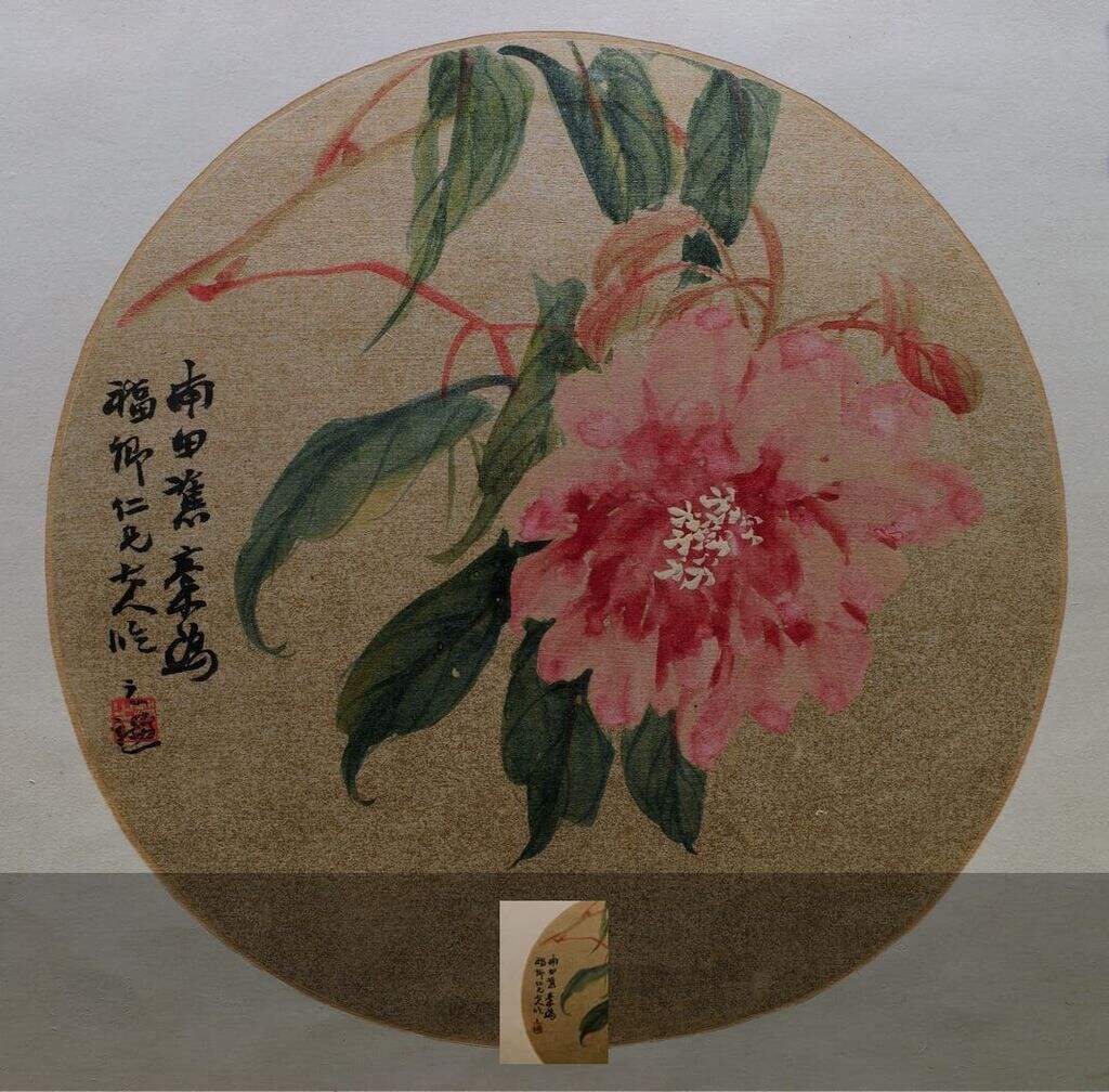 牡丹团扇缩略图