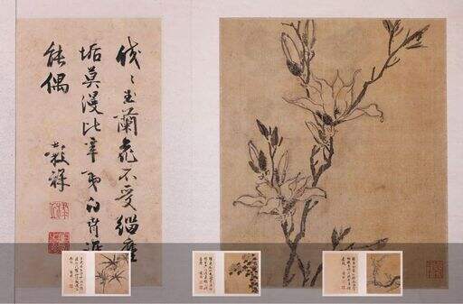 花卉图册缩略图